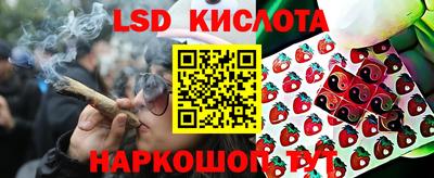 ешки Славянск-на-Кубани