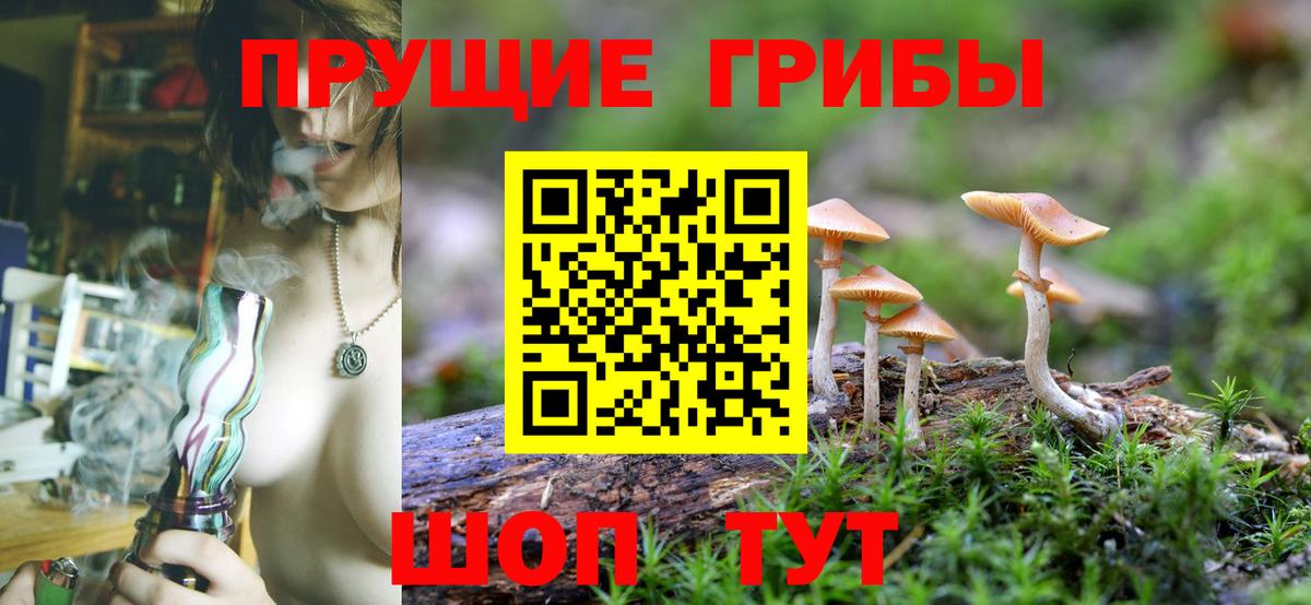 Галлюциногенные грибы мицелий Набережные Челны
