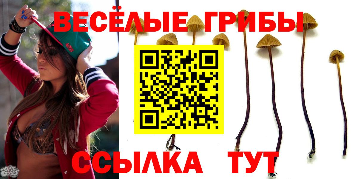 Галлюциногенные грибы ЛСД  Галлюциногенные грибы мухоморы  Набережные Челны  Вход с VPN 